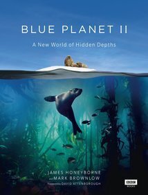 Subtitrare Blue Planet II (TV Mini-Series 2017)
