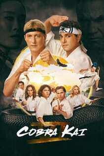 Subtitrare Cobra Kai - Sezonul 1 (2018)