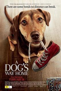 Subtitrare A Dog's Way Home (2019)