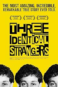 Subtitrare Three Identical Strangers (2018)
